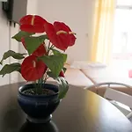 Apartments Damjanovic